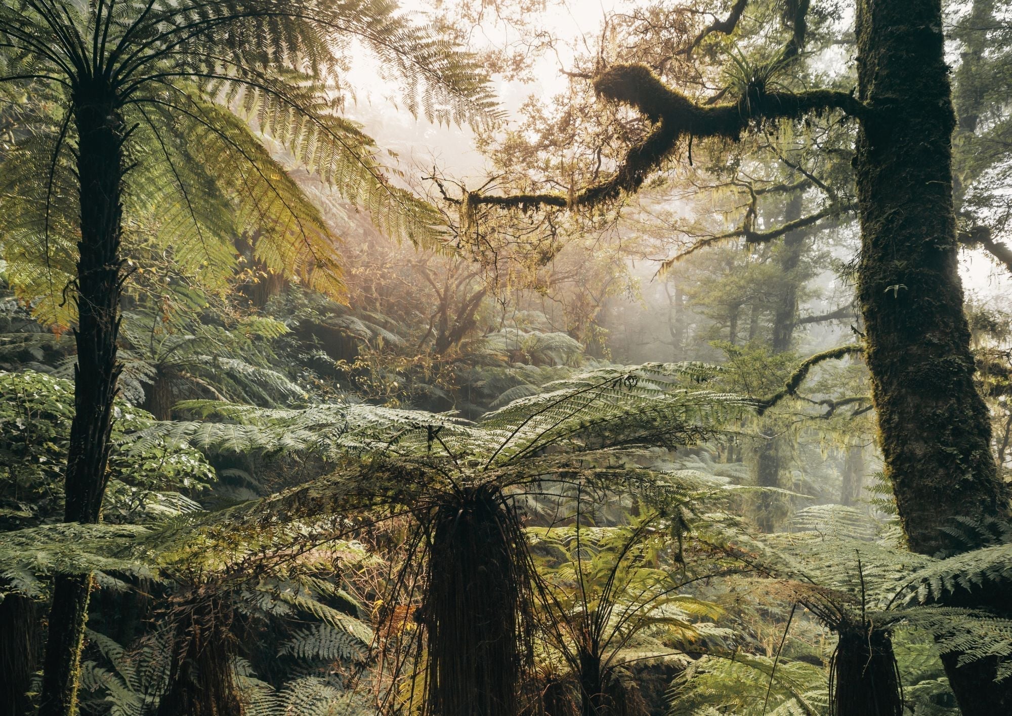 10 Sustainable ways to Celebrate the Earth – Wanderlightly