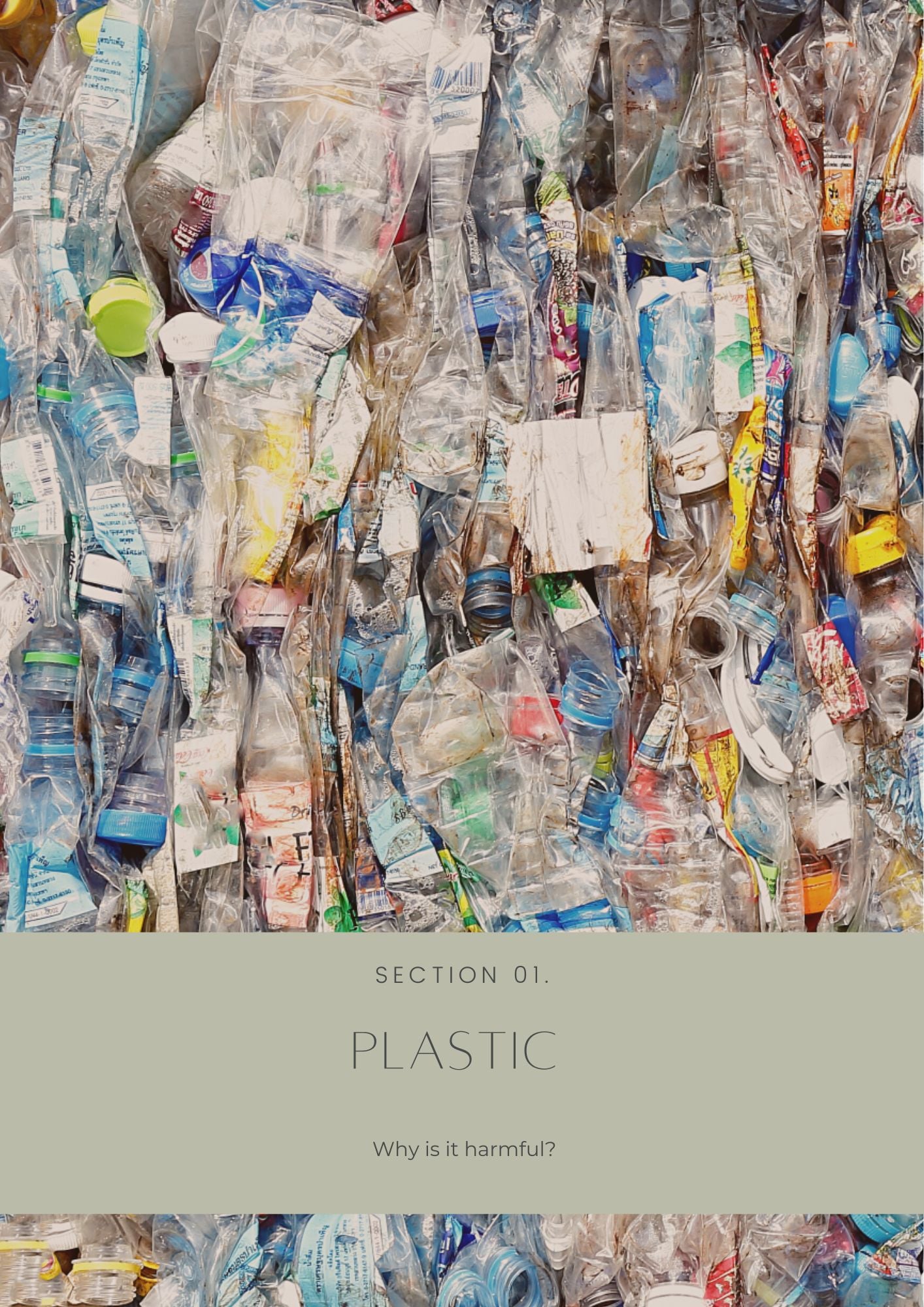 Plastic pollution - an introduction